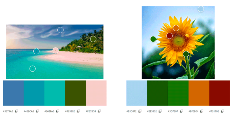 なじみの原理の例として海岸の風景とひまわりの写真から抽出したカラーパレット
